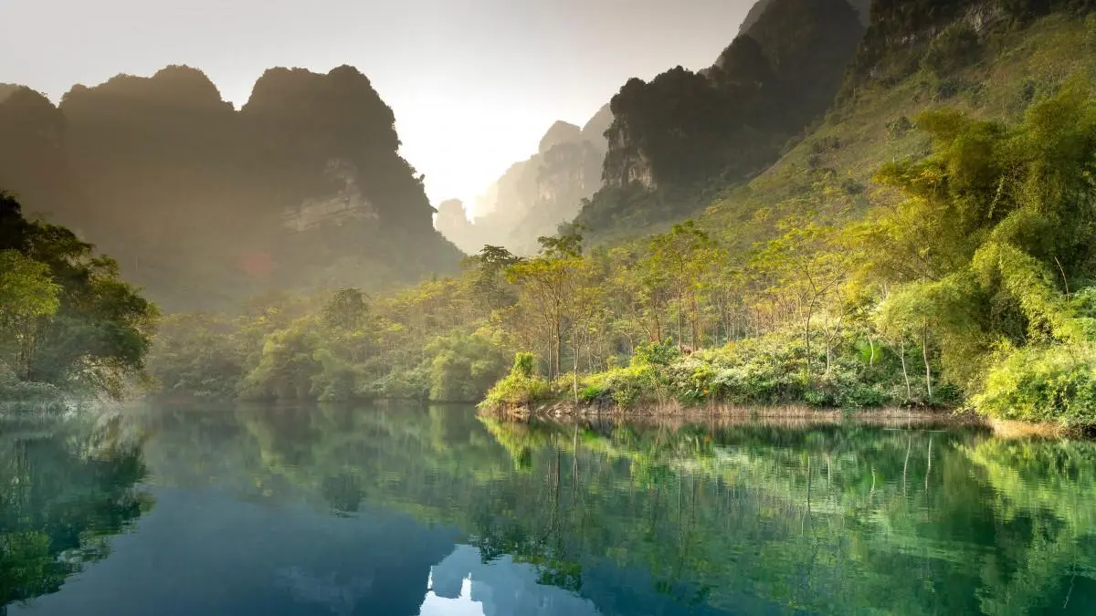 智能系统自动化高效
